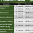 График работы амбулаторно-поликлинического звена больницы в праздничные дни - Окружная больница