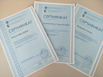 Участие в профильной смене обучающихся отделения изобразительного искусства