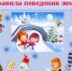 Дорогие ребята! - Детская школа искусств